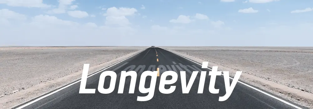 Long-term Availability